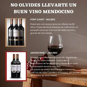 Apartamento Cielo Andino Syrah -céntrico-, Mendoza